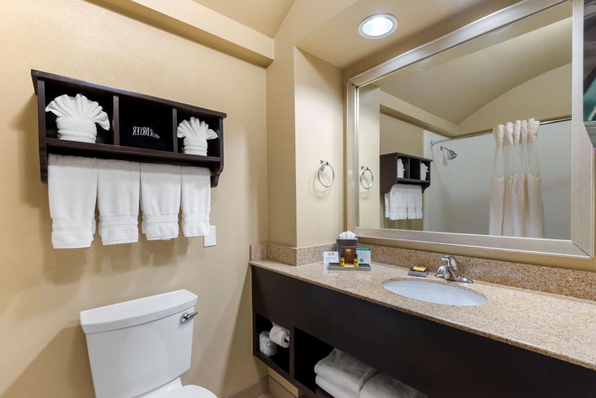 גרנד פריירי Best Western Plus Arlington North Hotel & Suites מראה חיצוני תמונה